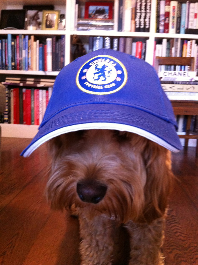 Chelsea FC cap - Mummy's a fan