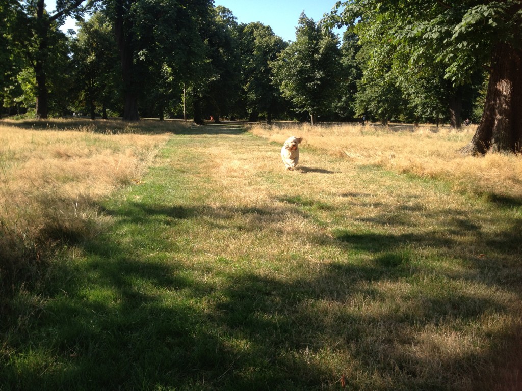 photo 1-15