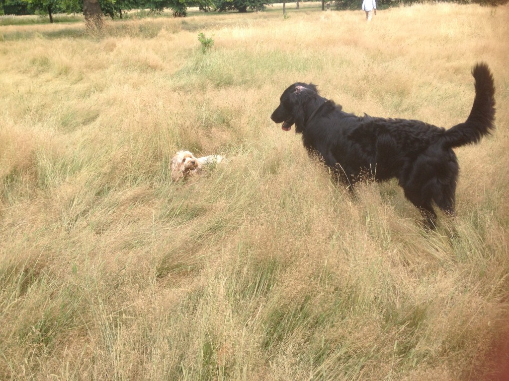 photo 4-11