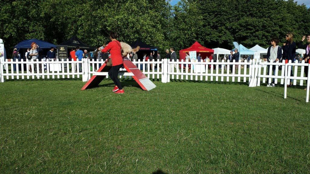 20130907_163945_resized