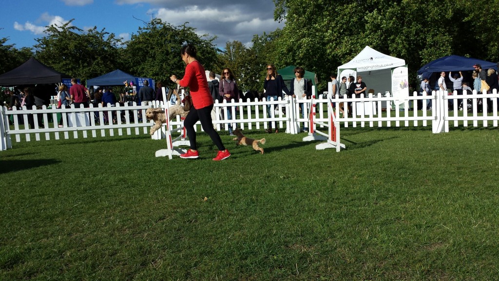 20130907_164041_resized