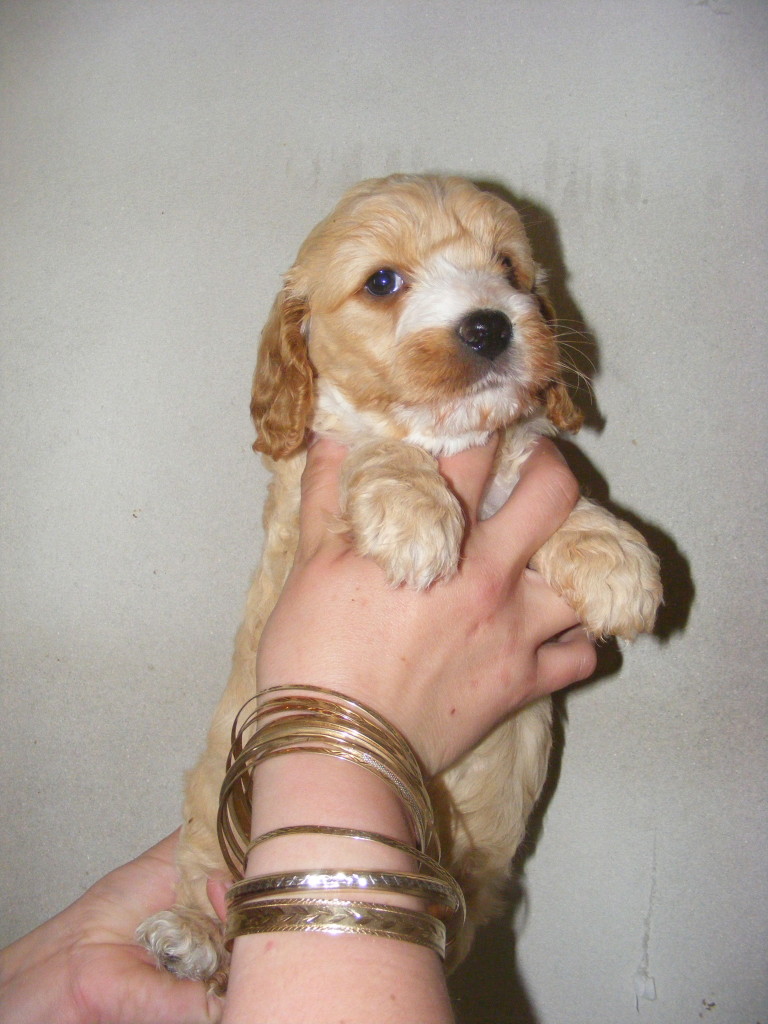 billy
