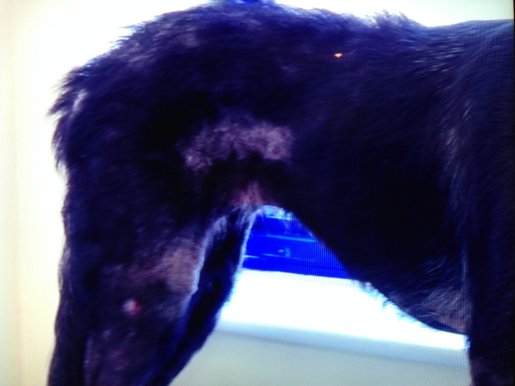 IMG_7143