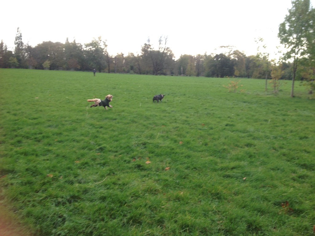 photo 2-4