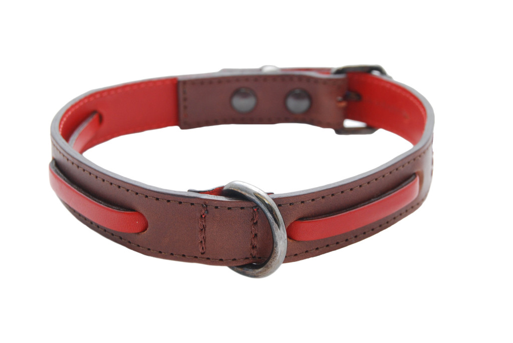 darcy brown collar