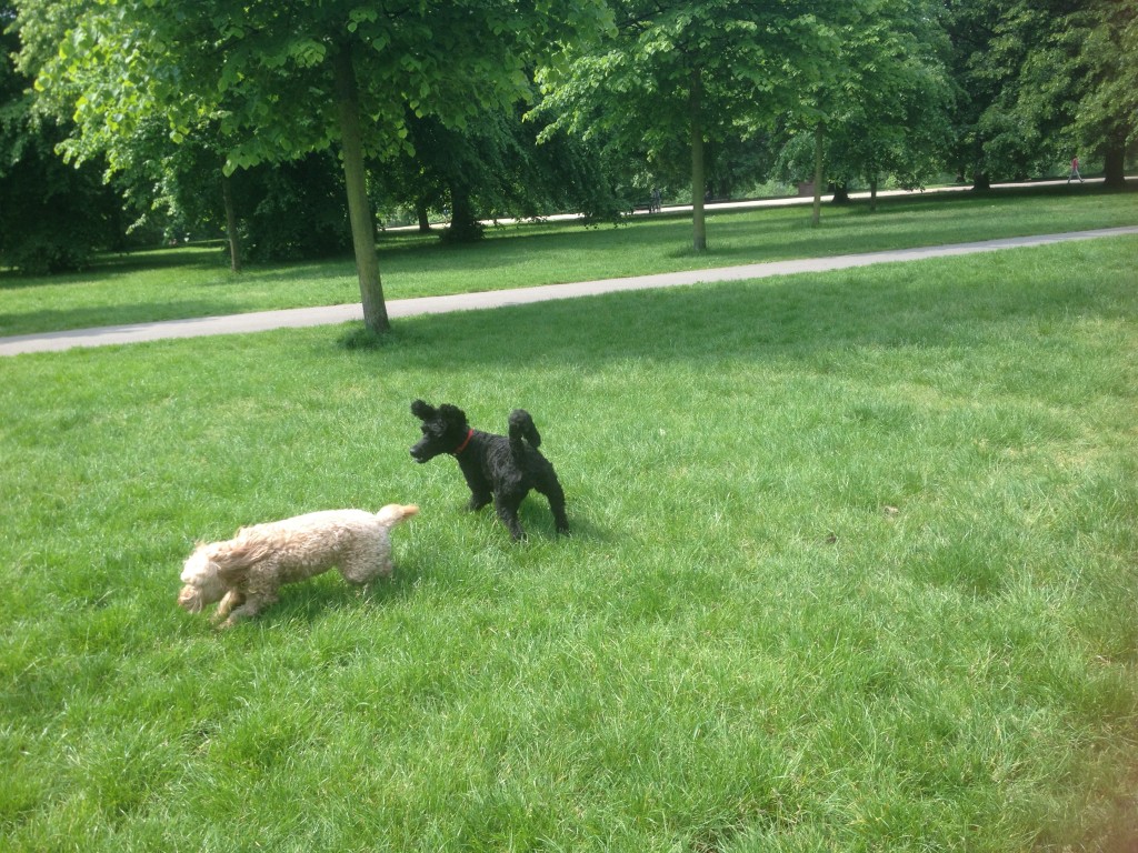 photo 3-31