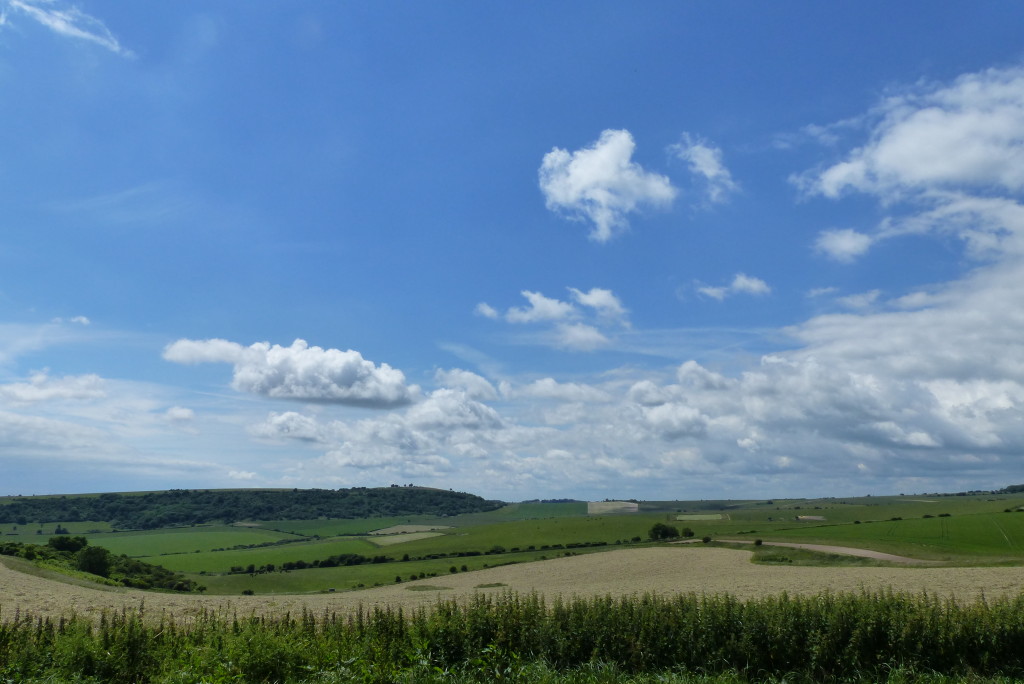 P1010480