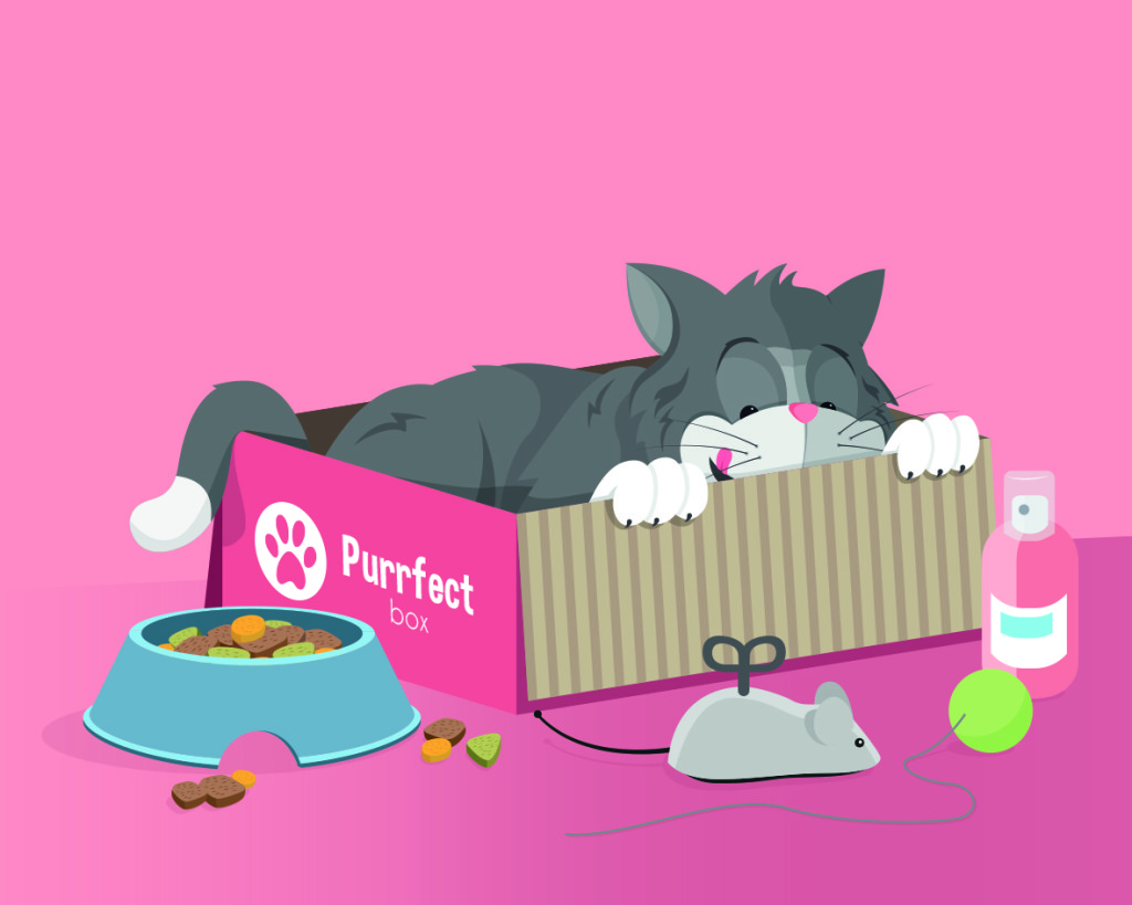 cat_illustration