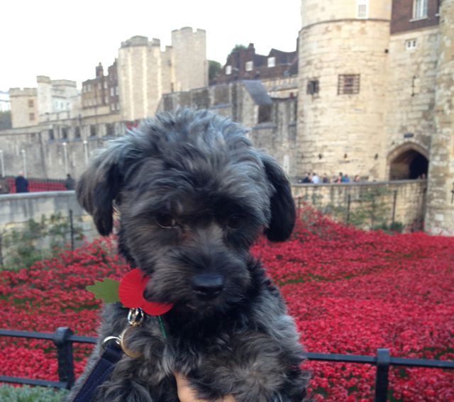 IMG_7802