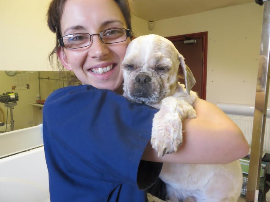 unnamed-96
