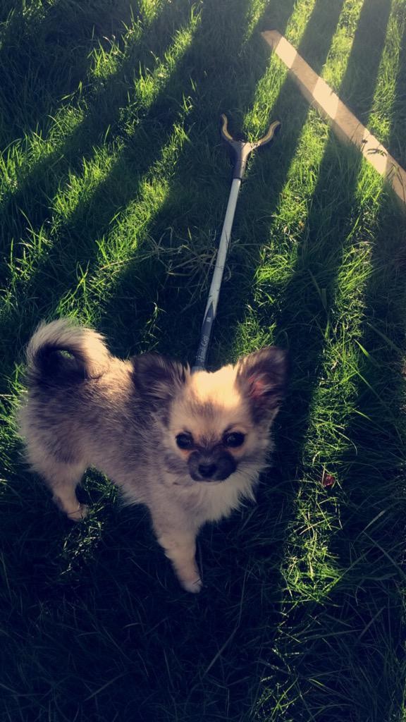 Harlow