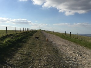 IMG_3289