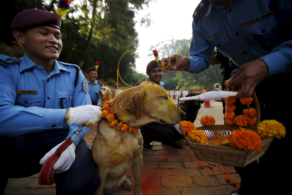 tihar 1