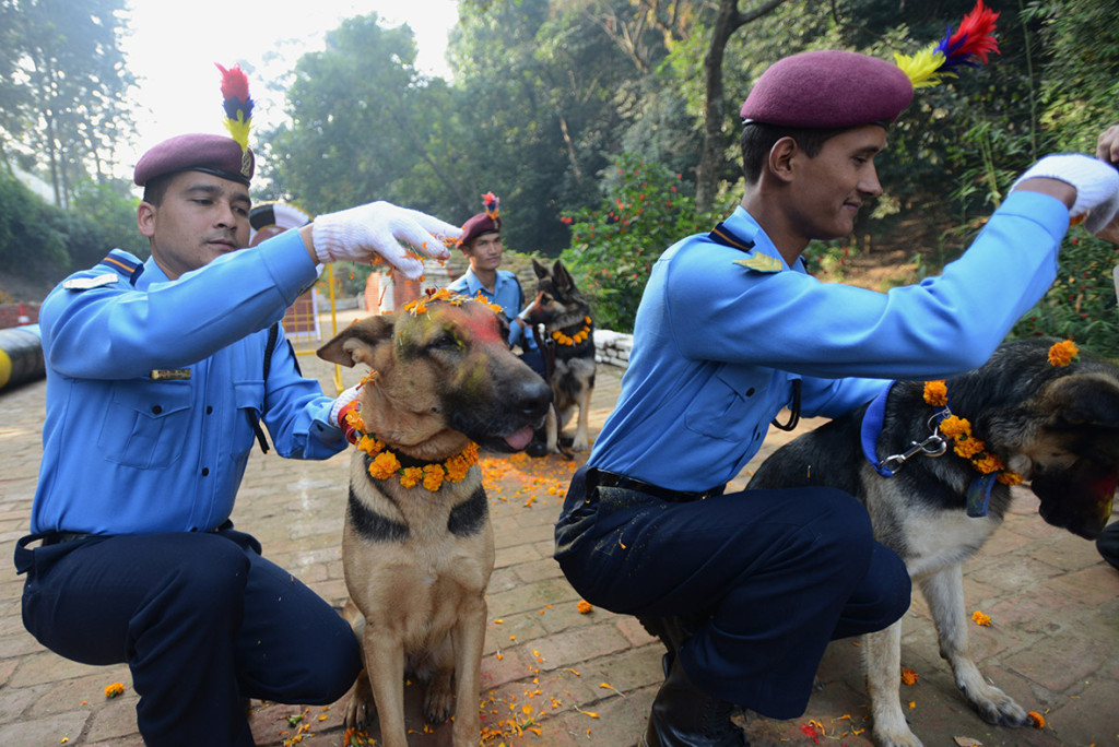 tihar 3