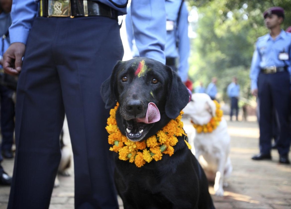 tihar-festival_3