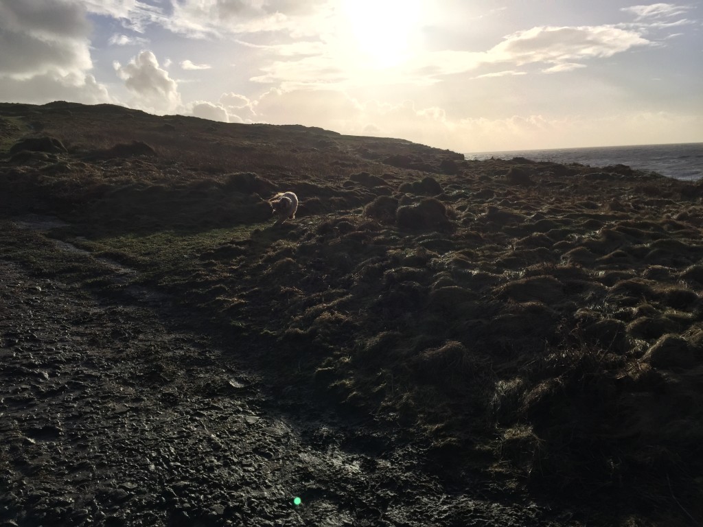 IMG_9568
