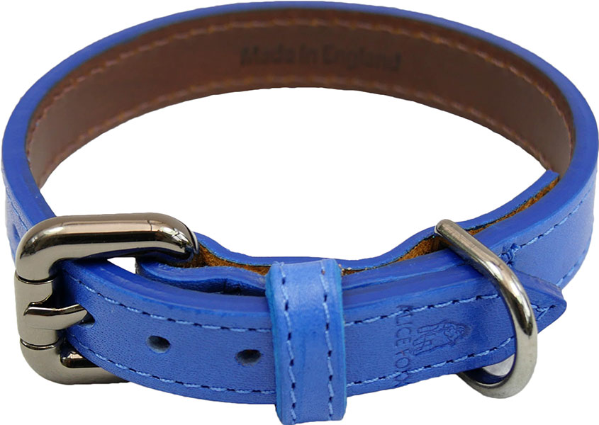 new-blue-collar-alice-junior