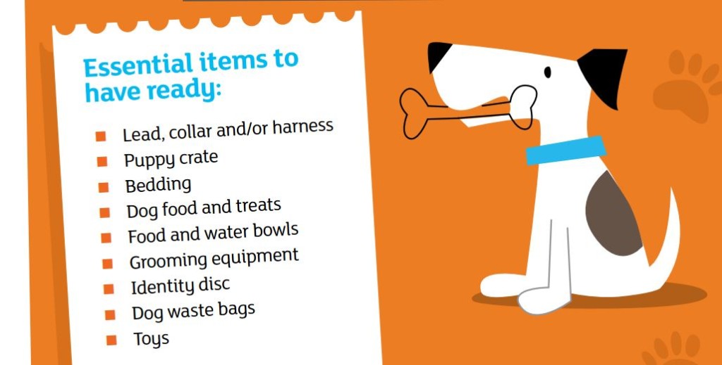 Essential items