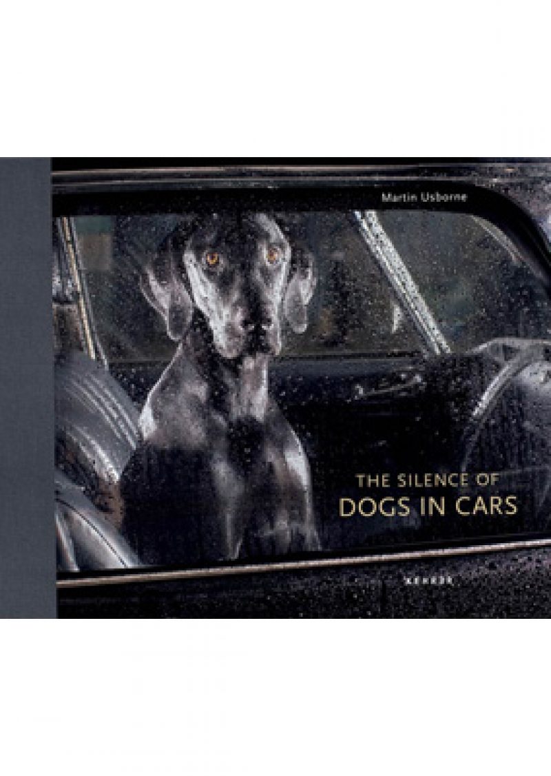 201306-omag-dogsincars-284xfall