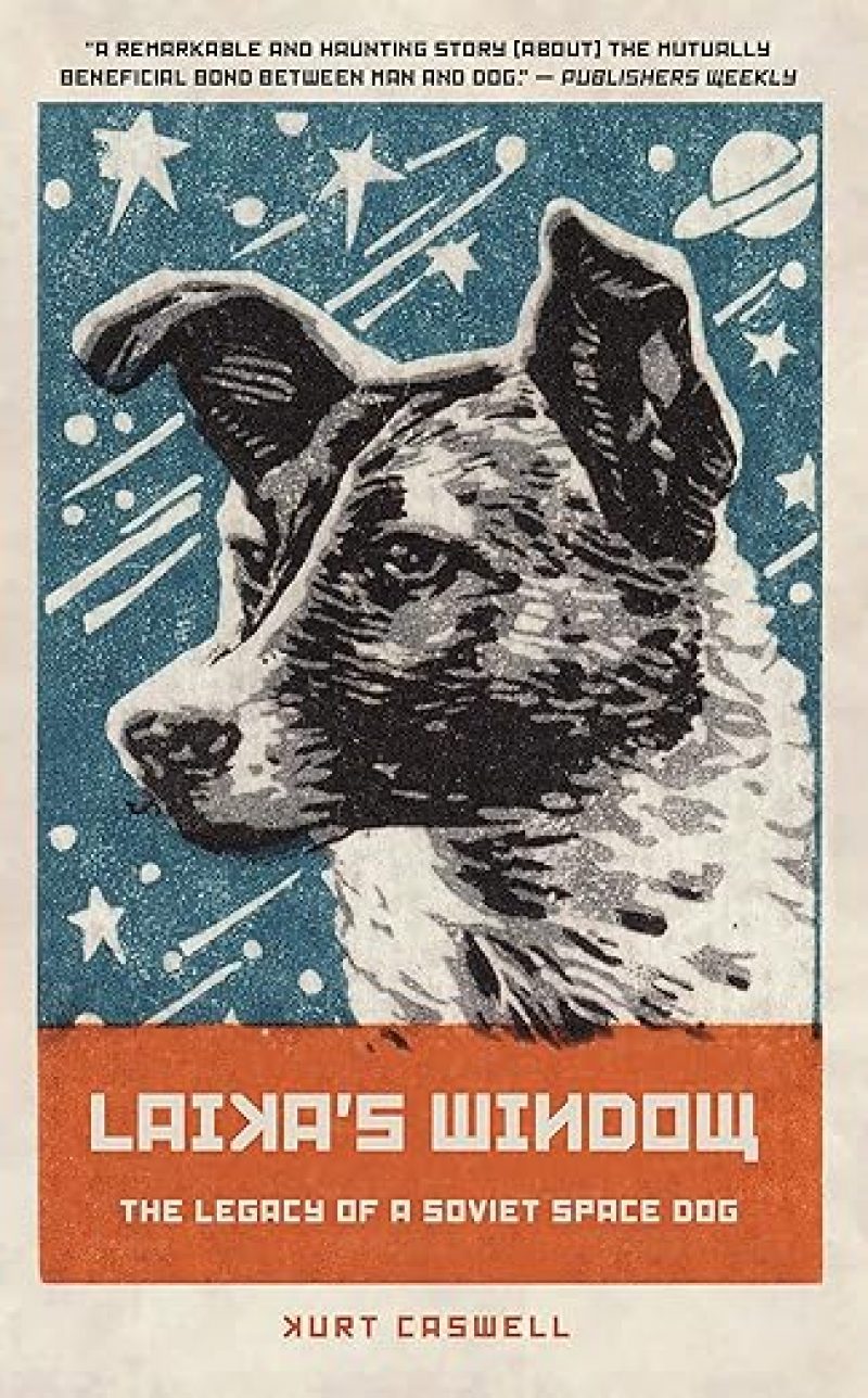 91AkmQ-keML._SY522_