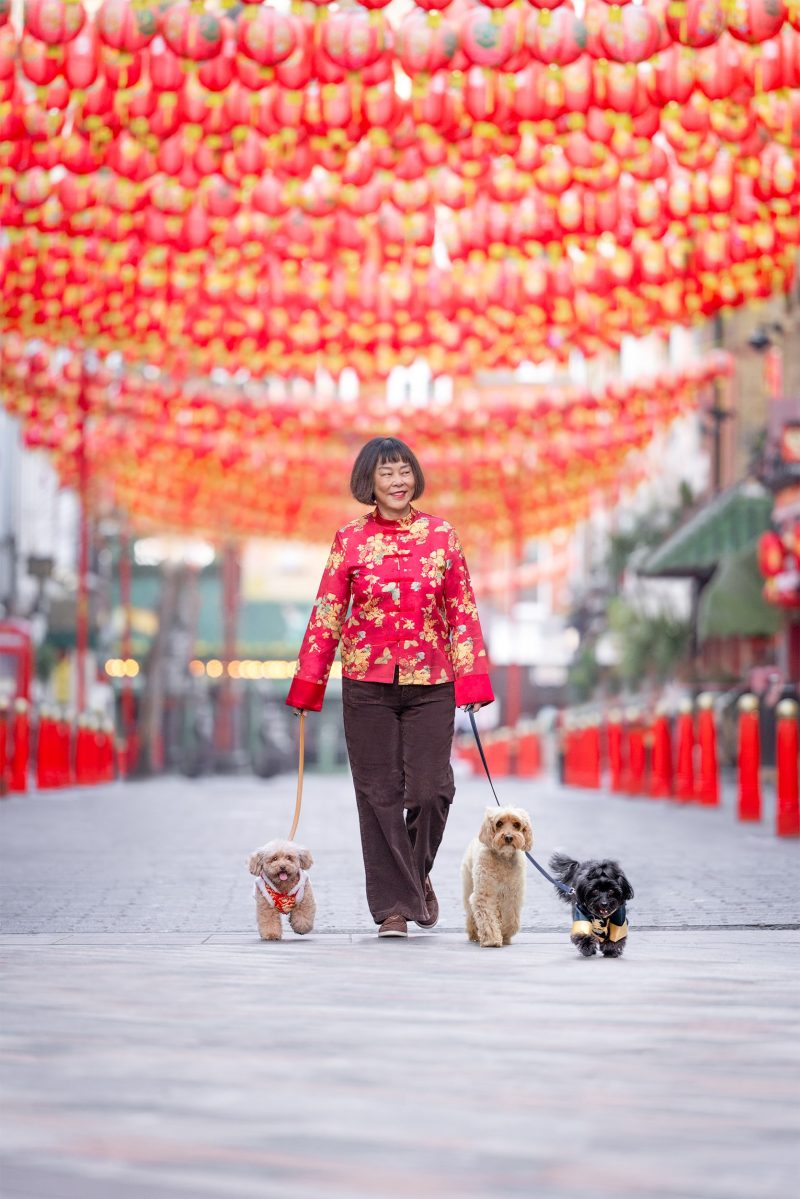 Darcy & Chinese Dumplings