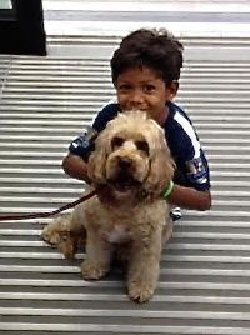 Didier and Darcy