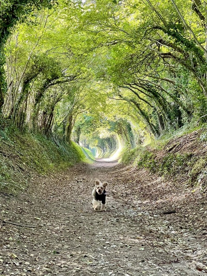 FD6FC3E9-BF21-448F-8F28-EABABC1BED95_1_105_c