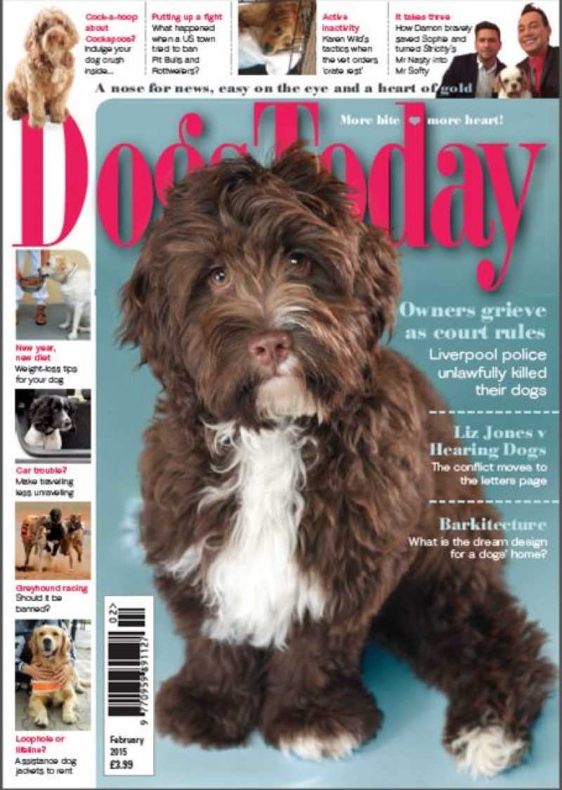 Feb cover
