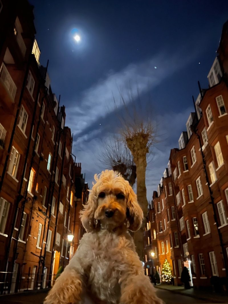 Full Moon (1)