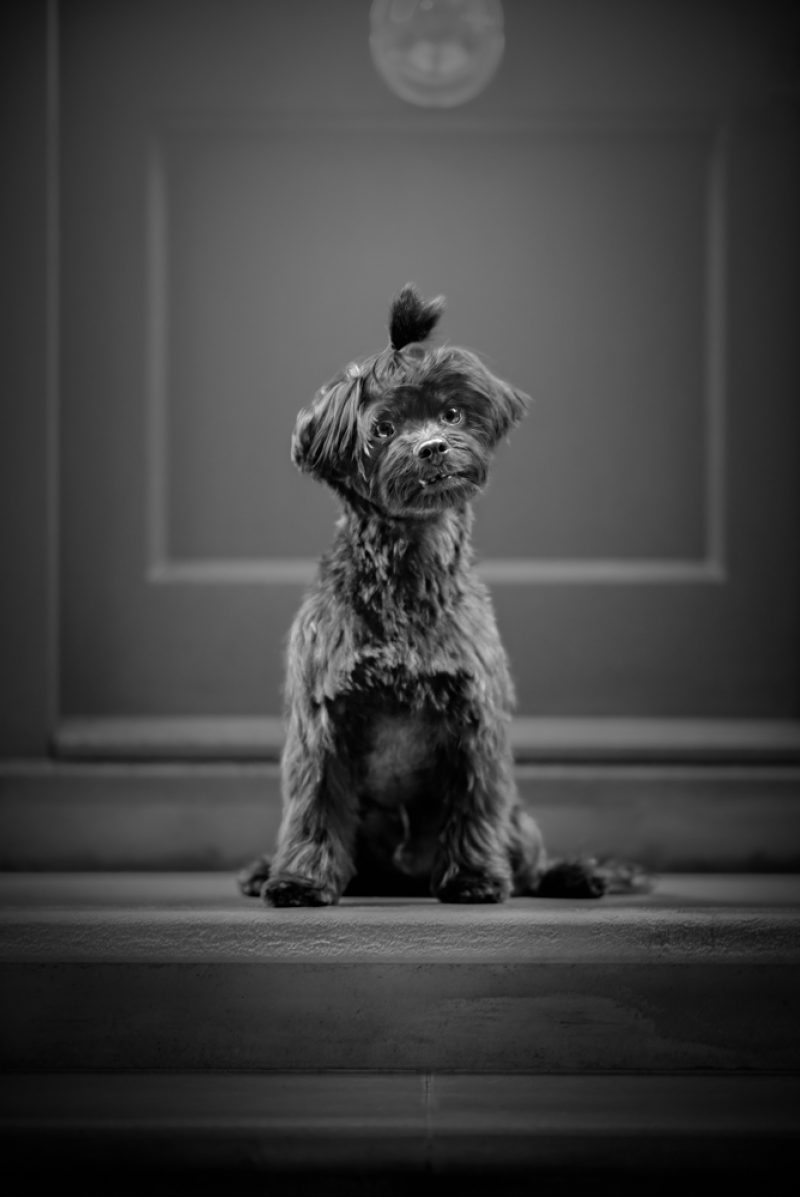 GEORGE-9