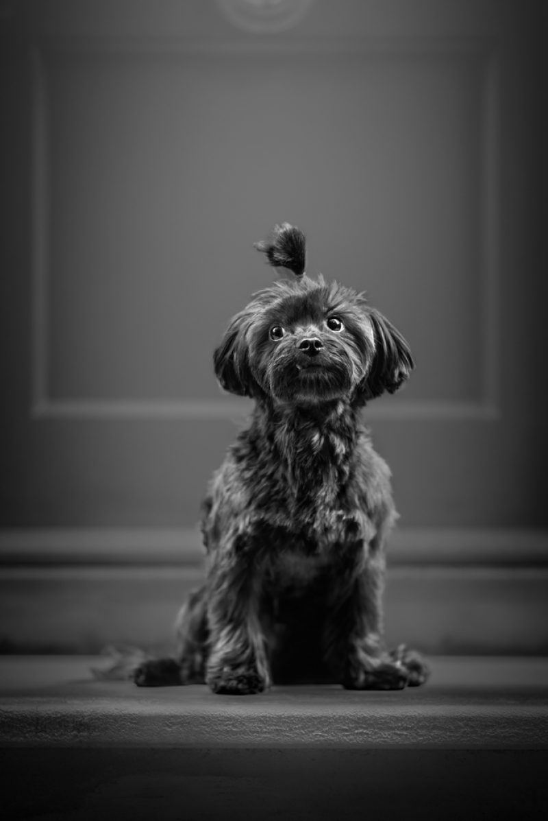 GEORGE