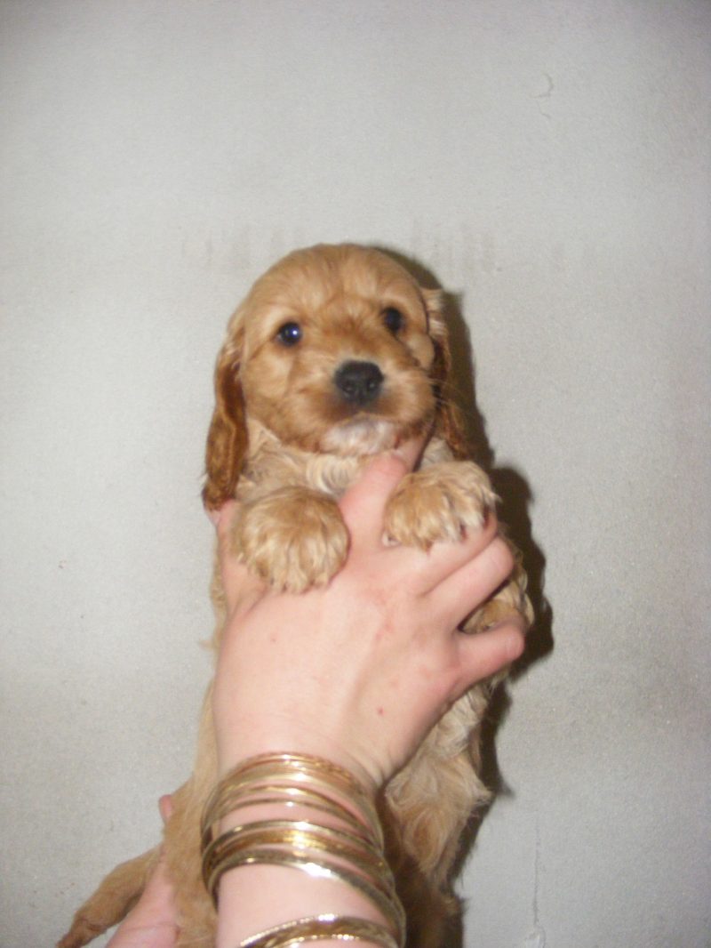 March 2011 - At five weeks
