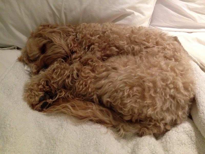 Night time ...knackered!