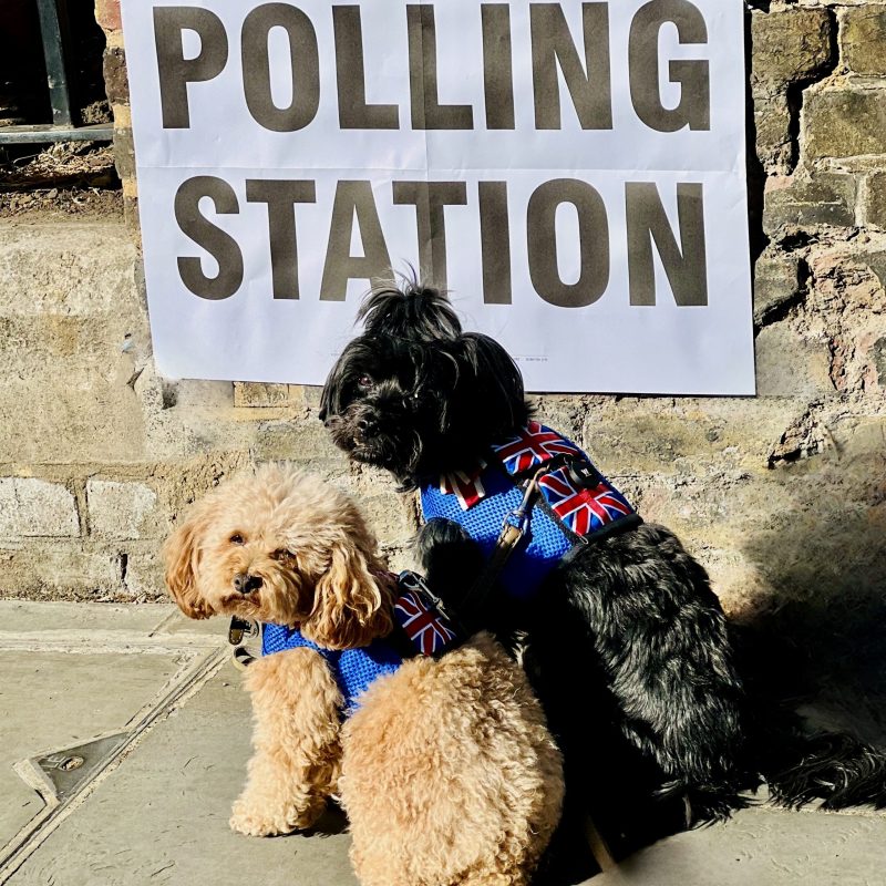 IMG_3035