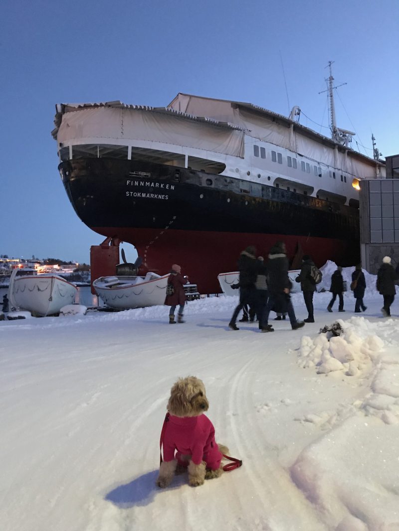 IMG_7833