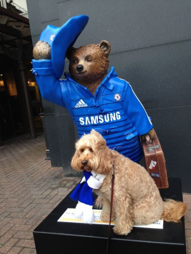 Special Bear