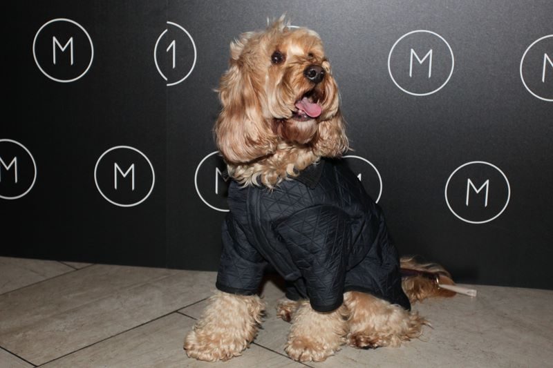 M Rest - D in coat