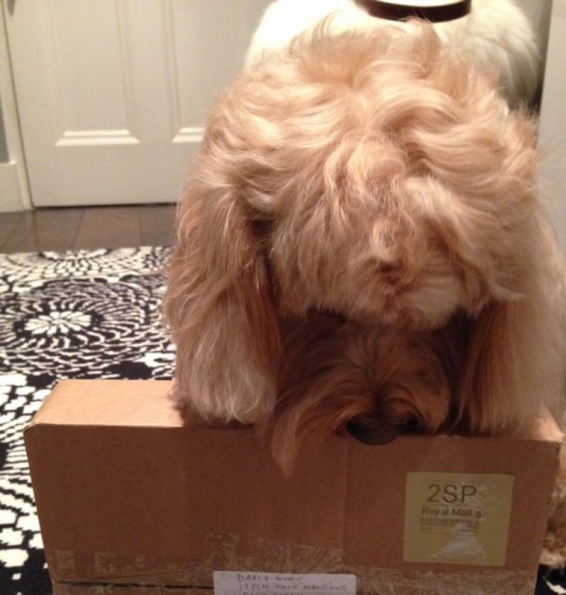 Package
