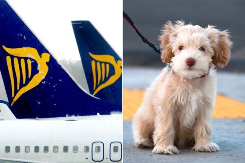 RyanairMAIN