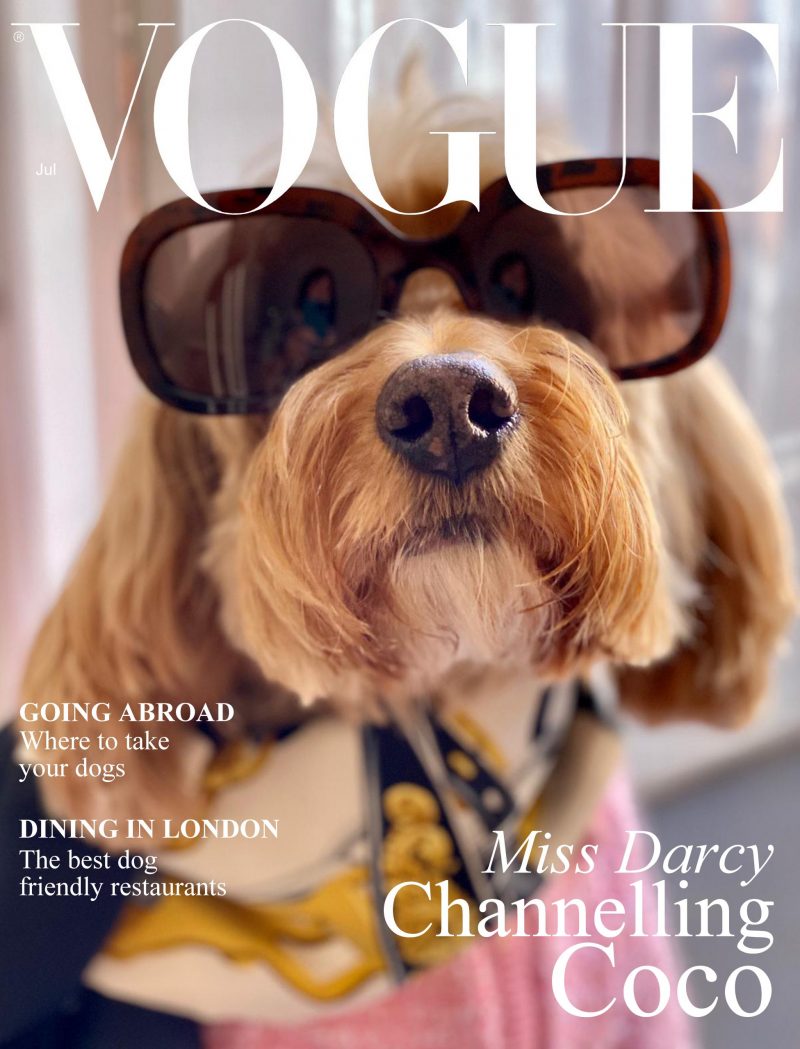 Vogue (1)