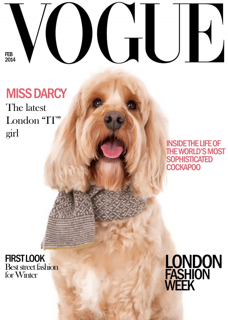 Vogue_Darcy Cover