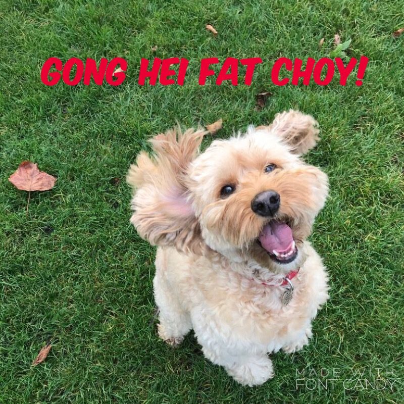 fontcandy