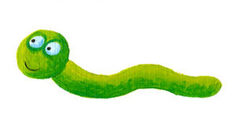http://www.dreamstime.com/stock-photos-green-worm-image19454963
